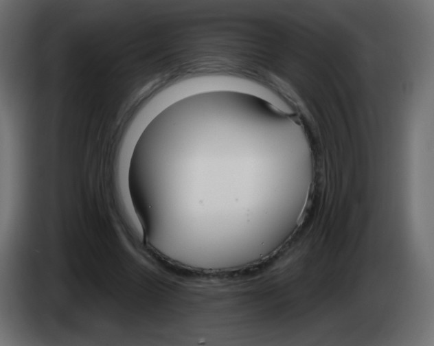 X0000083060538200703022136