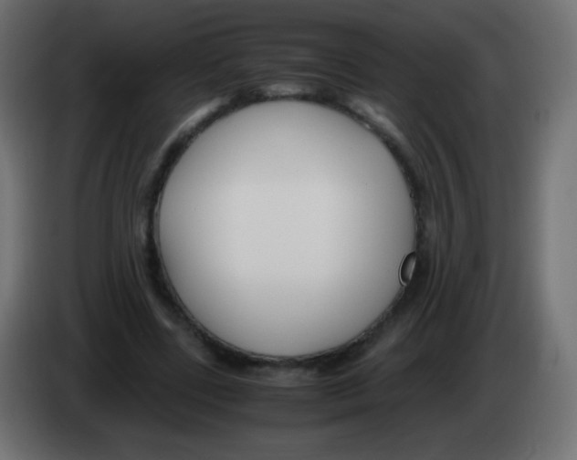 X0000083060539200703022136