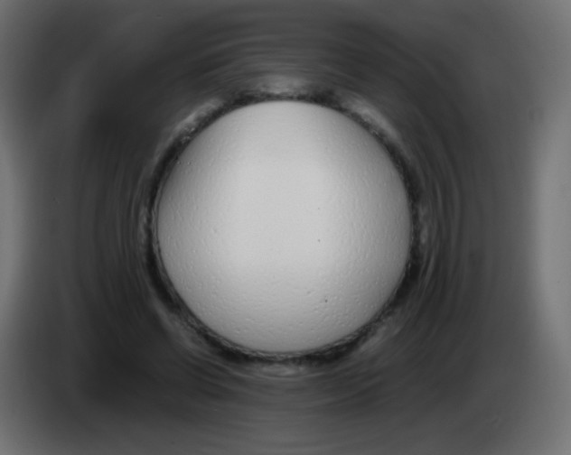 X0000083060542200703022136