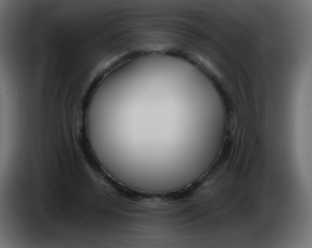 X0000083060544200703022136