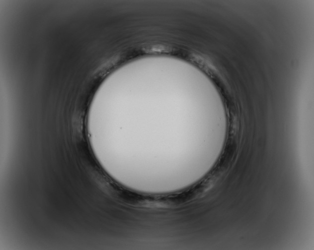 X0000083060545200703022136