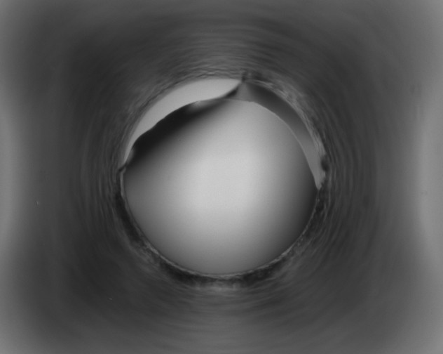 X0000083060546200703022136