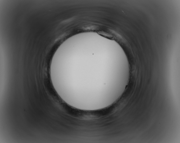 X0000083060547200703022136