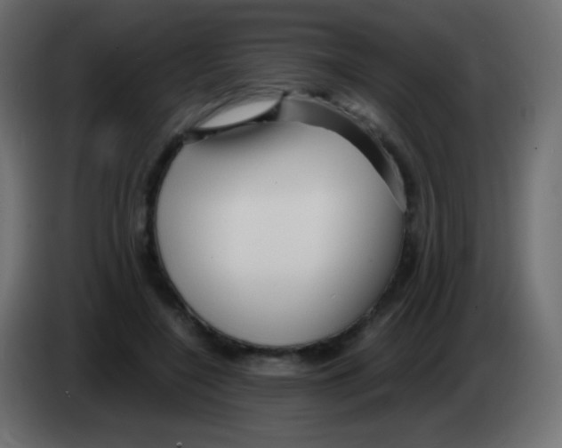 X0000083060548200703022136