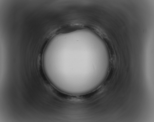 X0000083060550200703022136