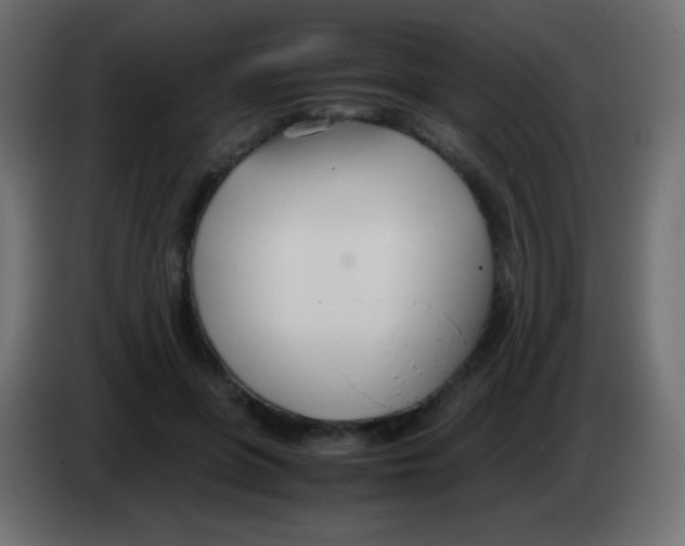 X0000083060551200703022136