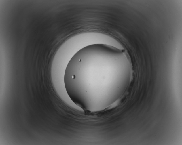 X0000083060552200703022136