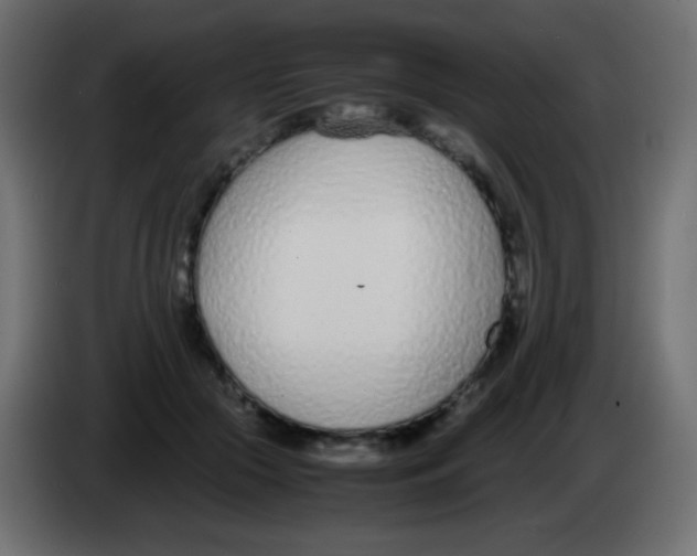 X0000083060553200703022136