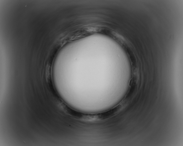 X0000083060554200703022136