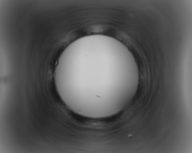 X0000083060555200703022136