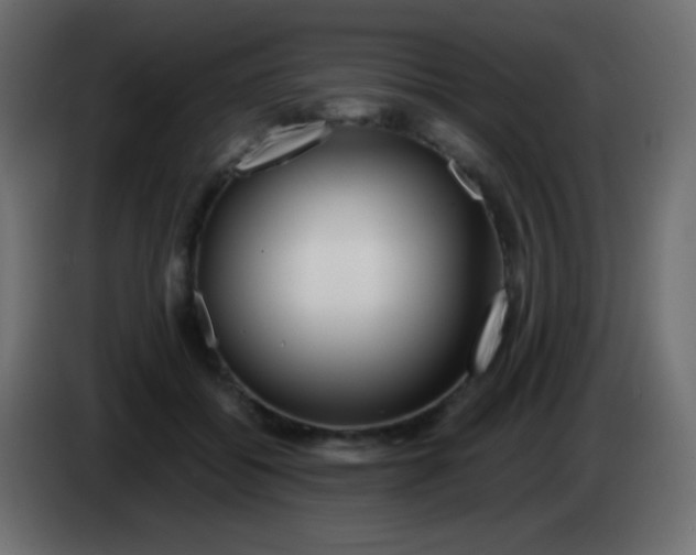 X0000083060556200703022136