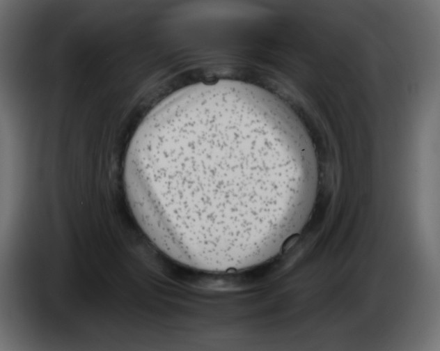 X0000083060557200703022136