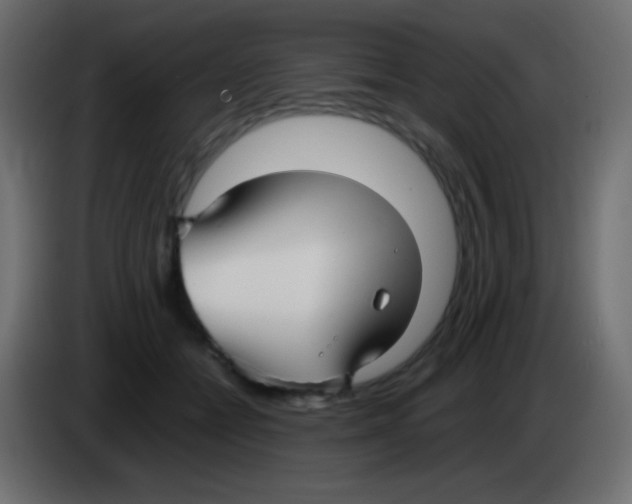 X0000083060558200703022136