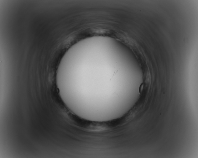 X0000083060559200703022136