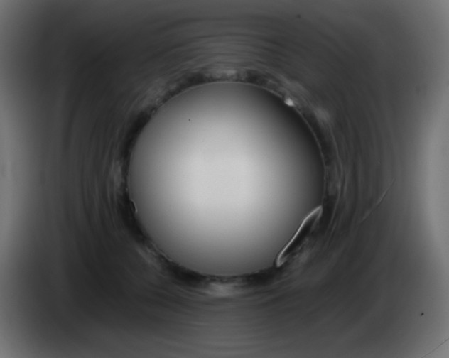 X0000083060560200703022136