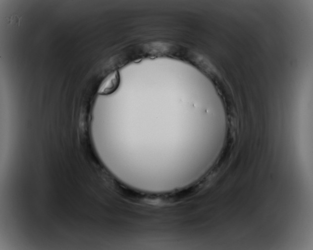 X0000083060561200703022136