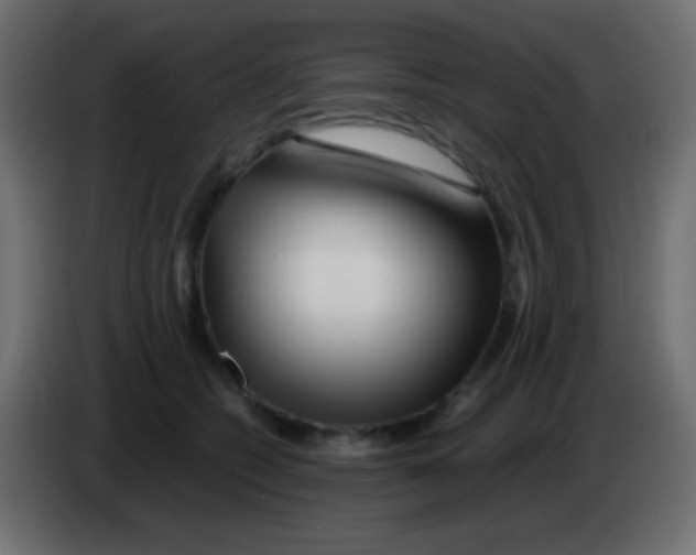 X0000083060562200703022136