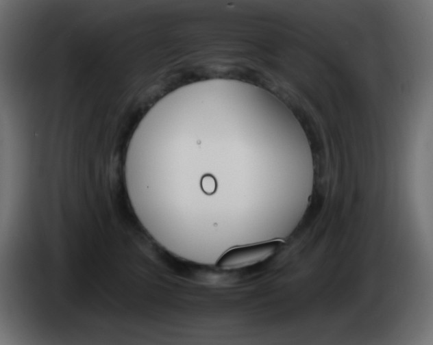 X0000083060563200703022136