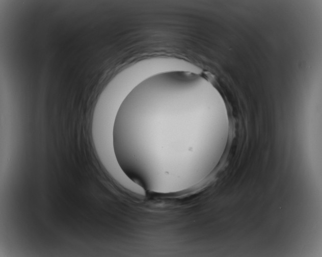 X0000083060564200703022136