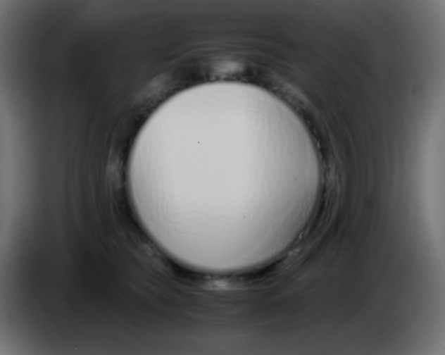 X0000083060565200703022136