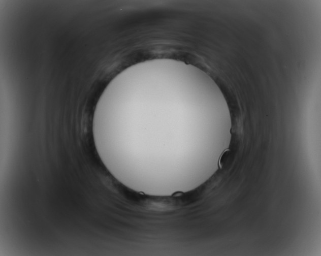 X0000083060567200703022136