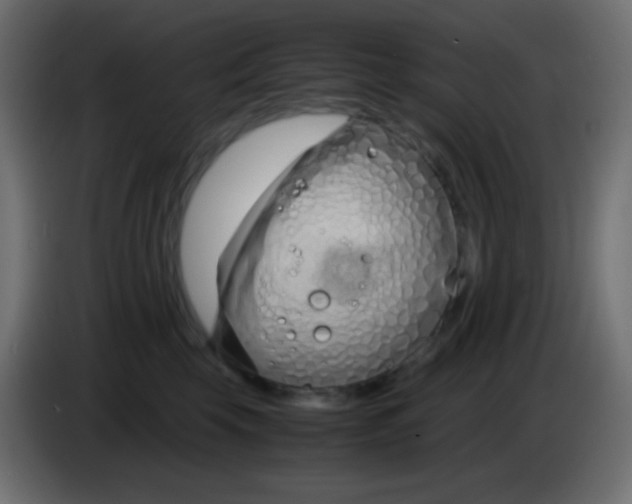 X0000083060569200703022136