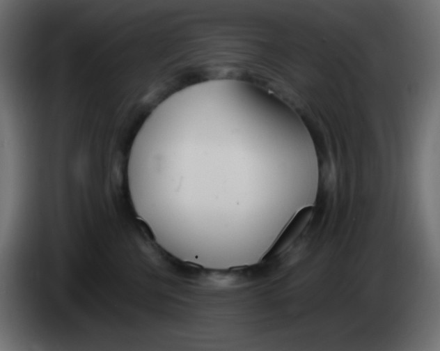 X0000083060570200703022136