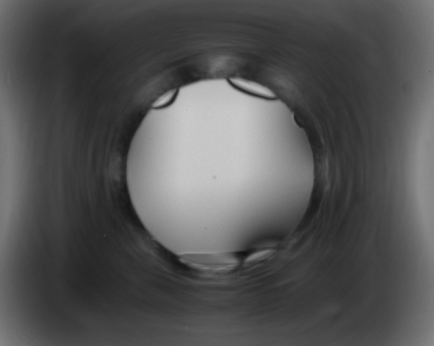 X0000083060571200703022136