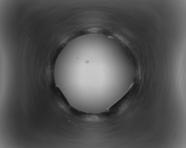 X0000083060572200703022136