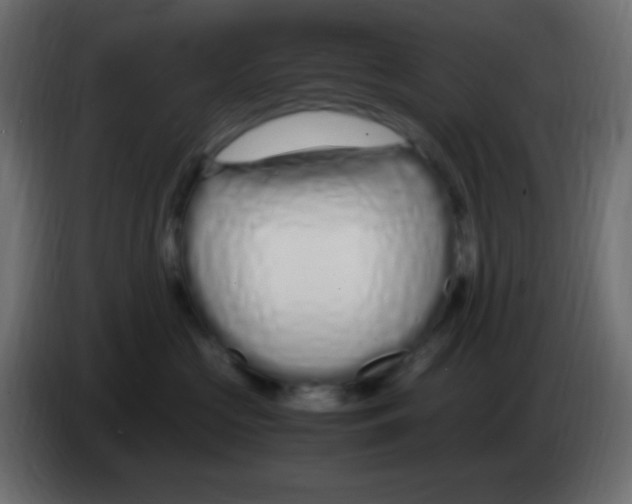 X0000083060573200703022136