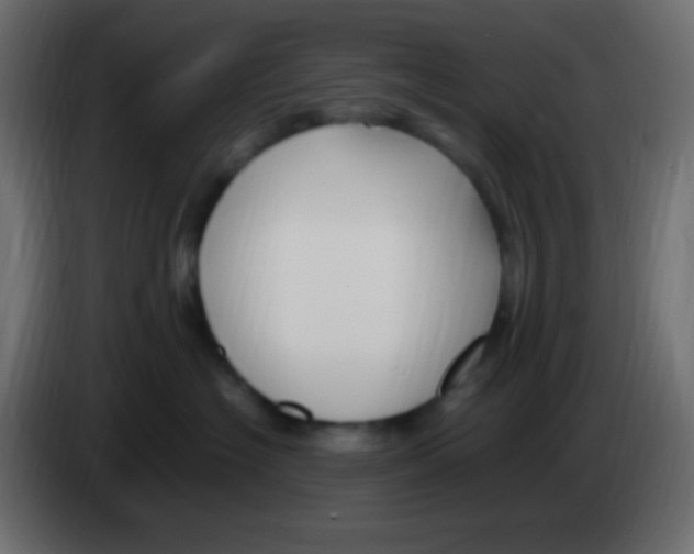 X0000083060574200703022136