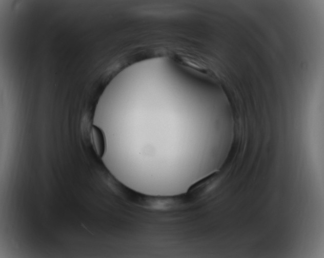 X0000083060575200703022136