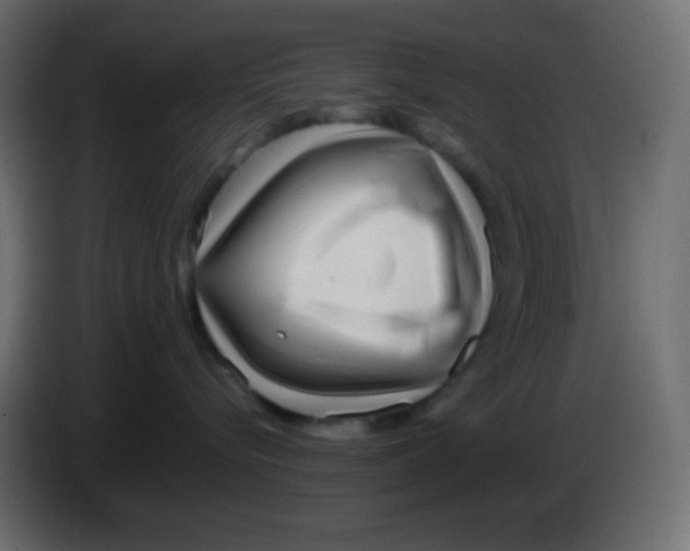 X0000083060576200703022136