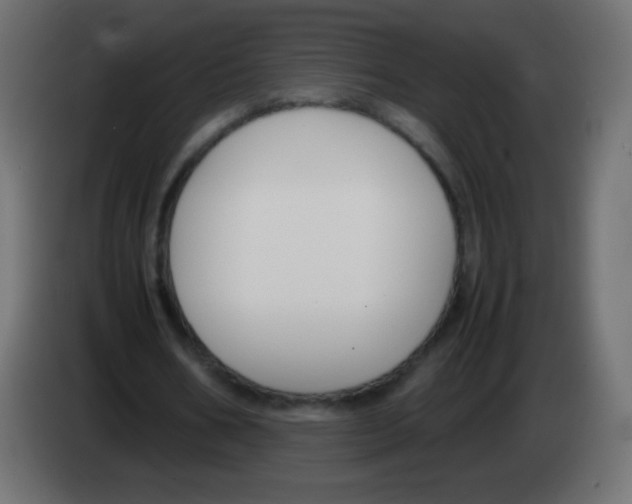 X0000083060578200703022135