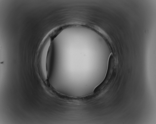 X0000083060580200703022135