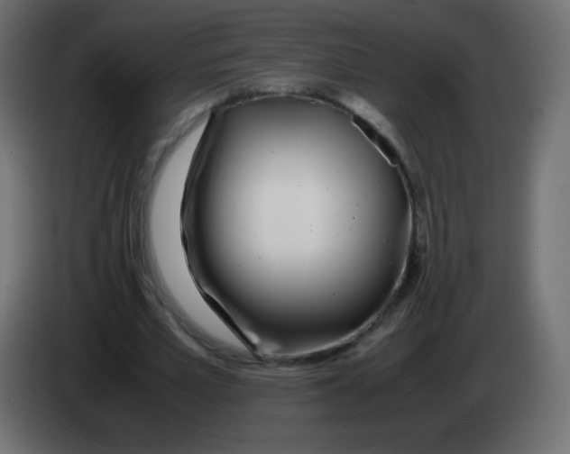 X0000083060581200703022135