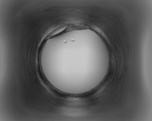 X0000083060582200703022135