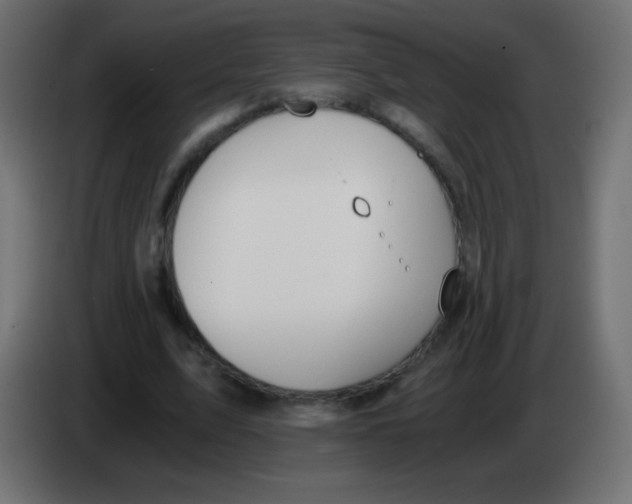 X0000083060583200703022135