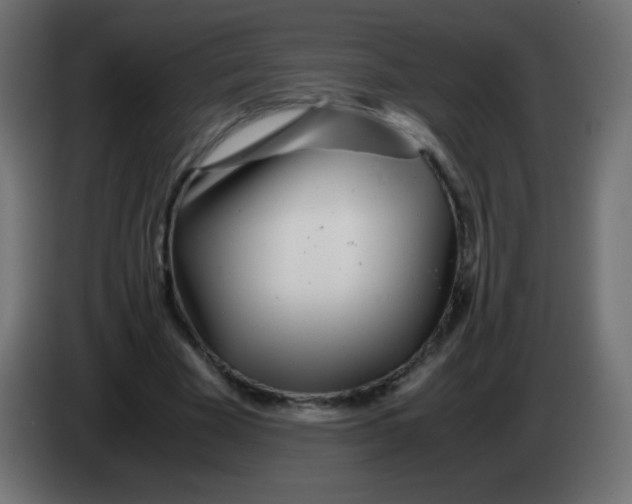 X0000083060585200703022135