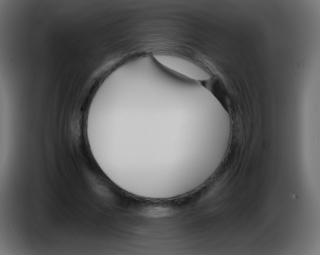 X0000083060586200703022135