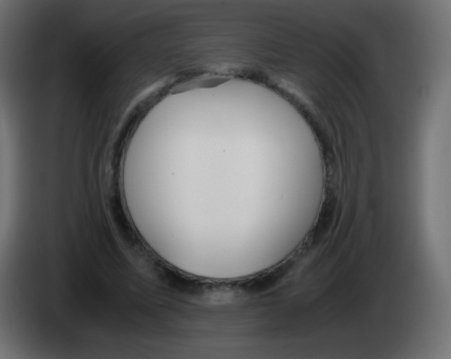 X0000083060587200703022135