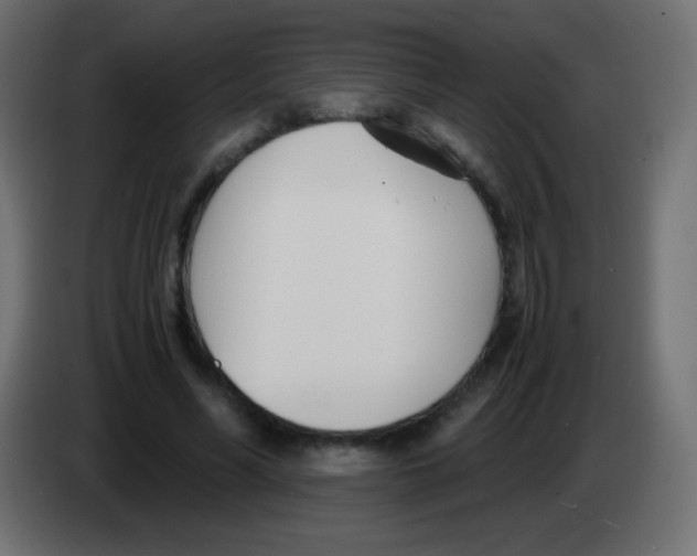 X0000083060590200703022135