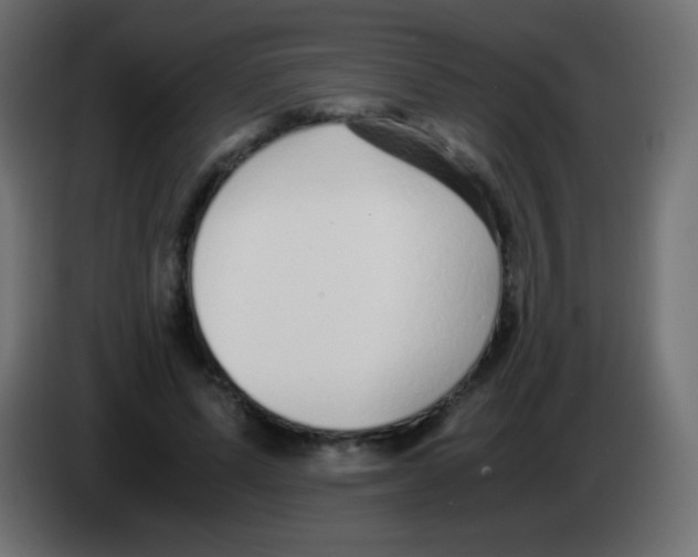 X0000083060591200703022135