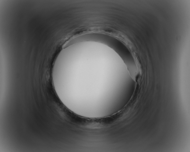 X0000083060593200703022135