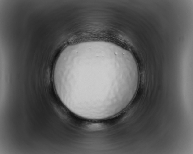 X0000083060594200703022135