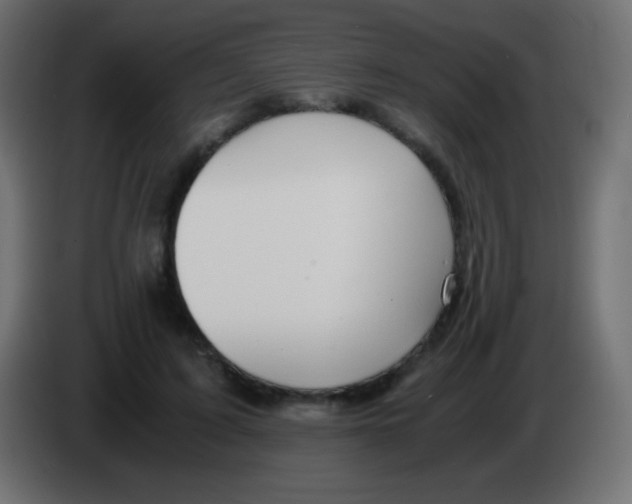 X0000083060595200703022135