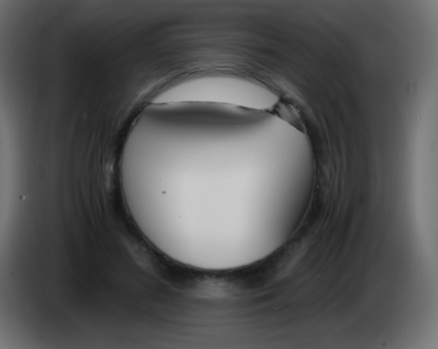 X0000083060596200703022135