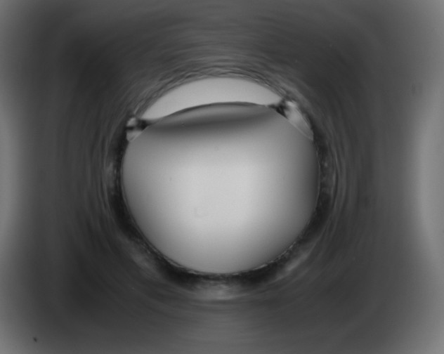 X0000083060597200703022135