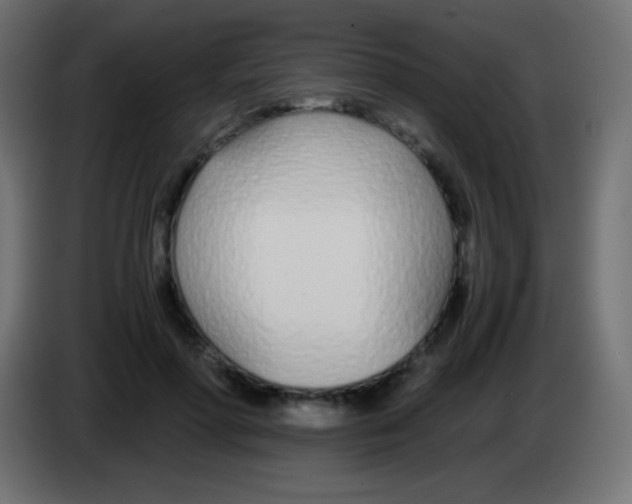 X0000083060598200703022135