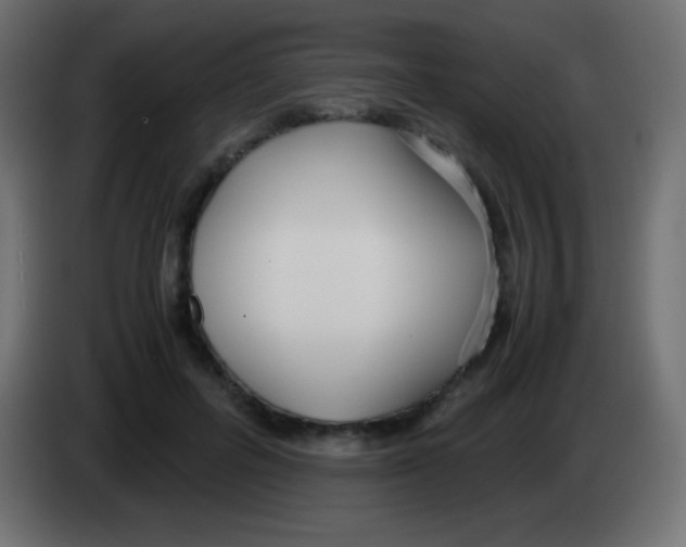 X0000083060600200703022135